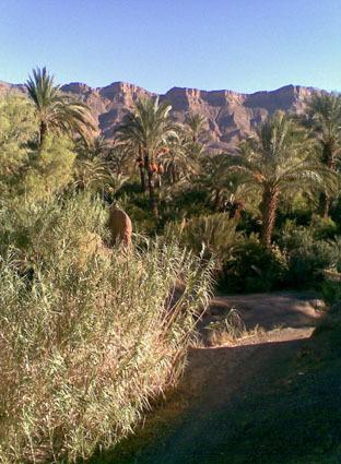 Kasbah Berbere Ouriz Ξενοδοχείο Agdz Εξωτερικό φωτογραφία